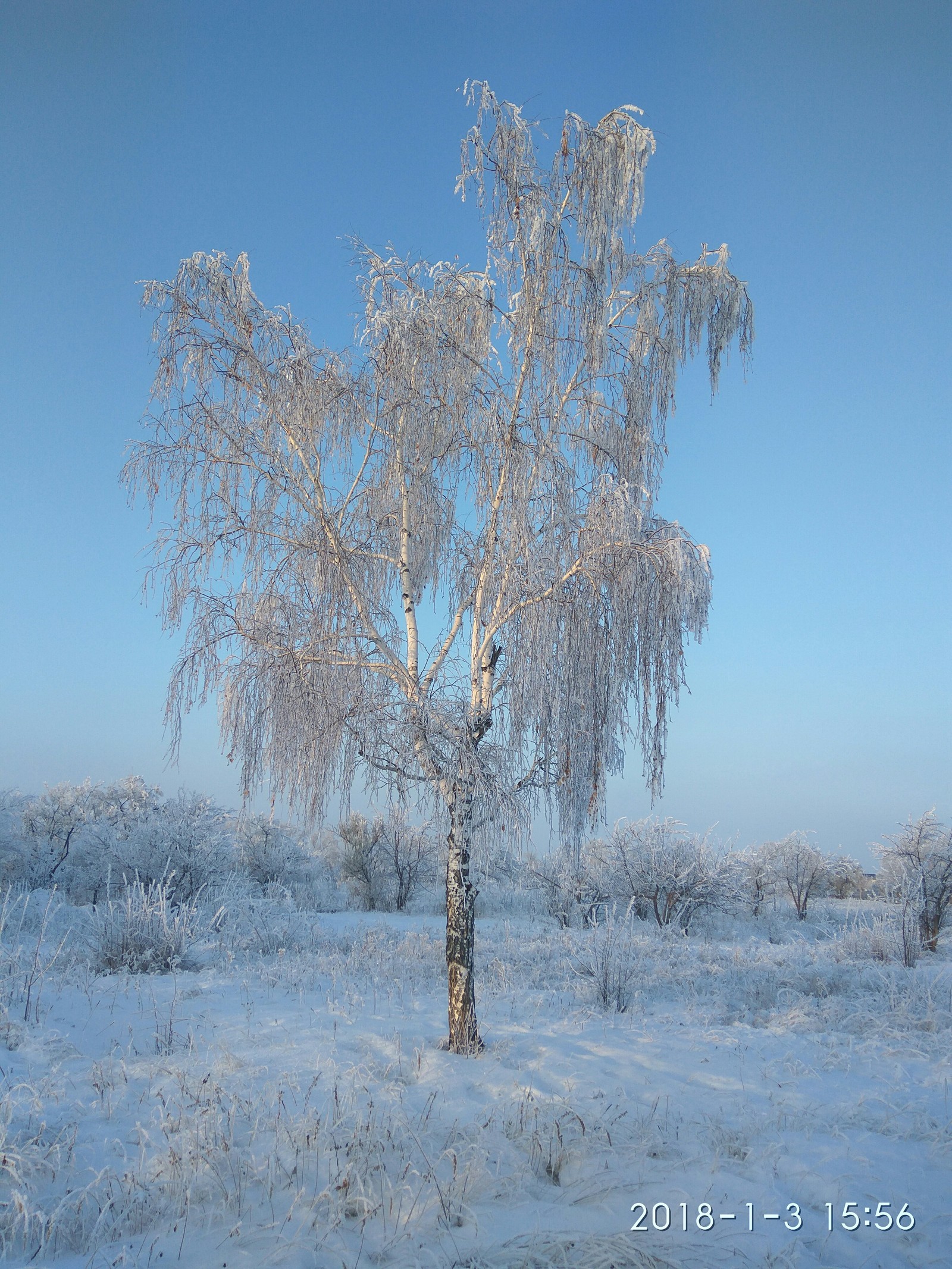 For those who are unlucky with winter this year (photo post). - My, The photo, The park, Longpost, Bashkortostan, Winter, Snow, Frost