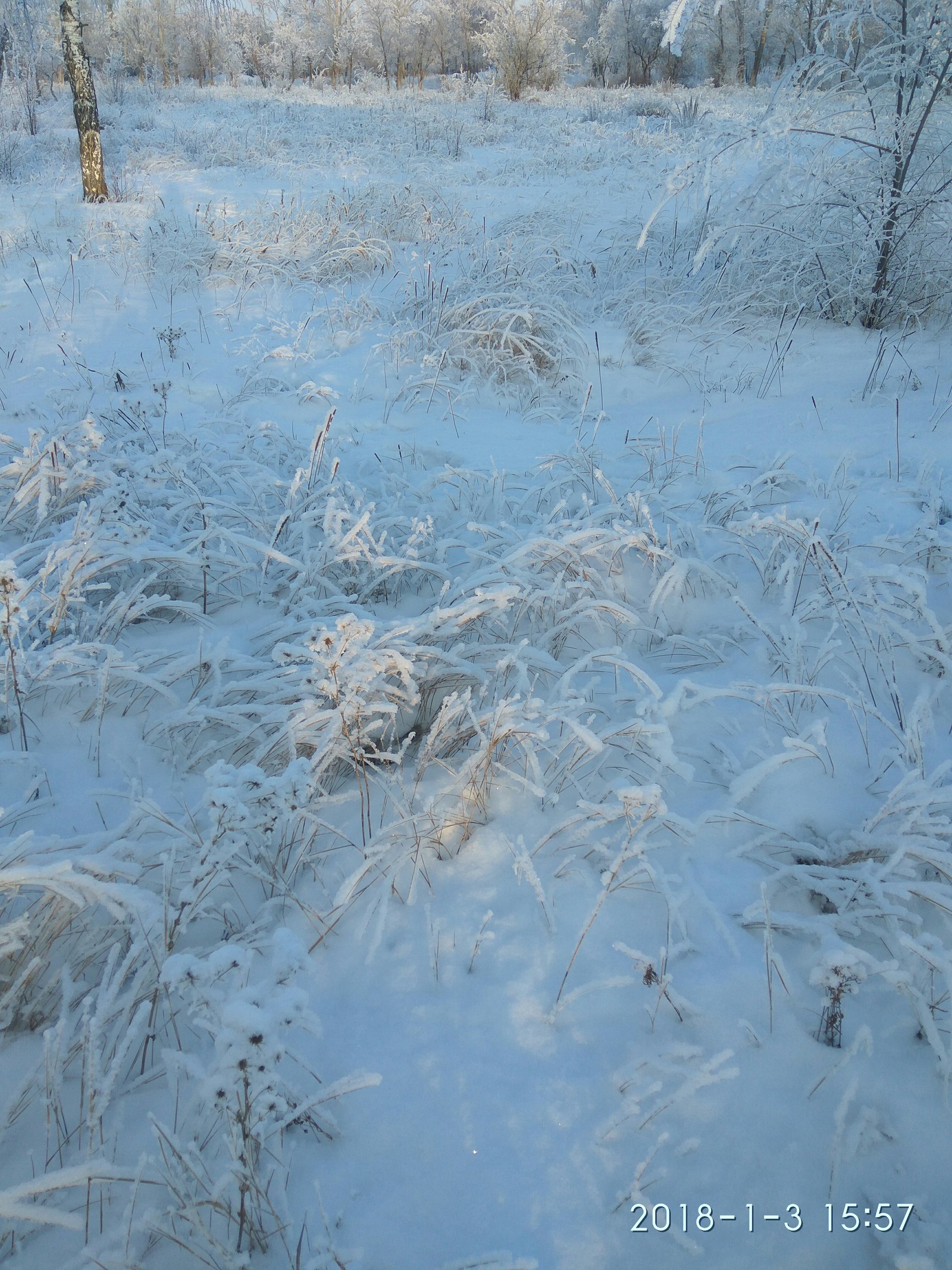 For those who are unlucky with winter this year (photo post). - My, The photo, The park, Longpost, Bashkortostan, Winter, Snow, Frost