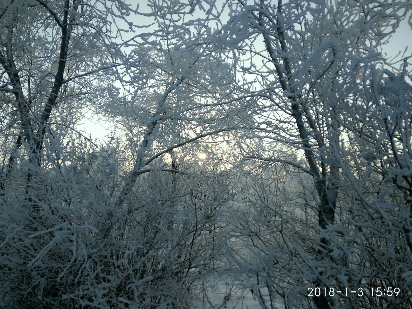 For those who are unlucky with winter this year (photo post). - My, The photo, The park, Longpost, Bashkortostan, Winter, Snow, Frost