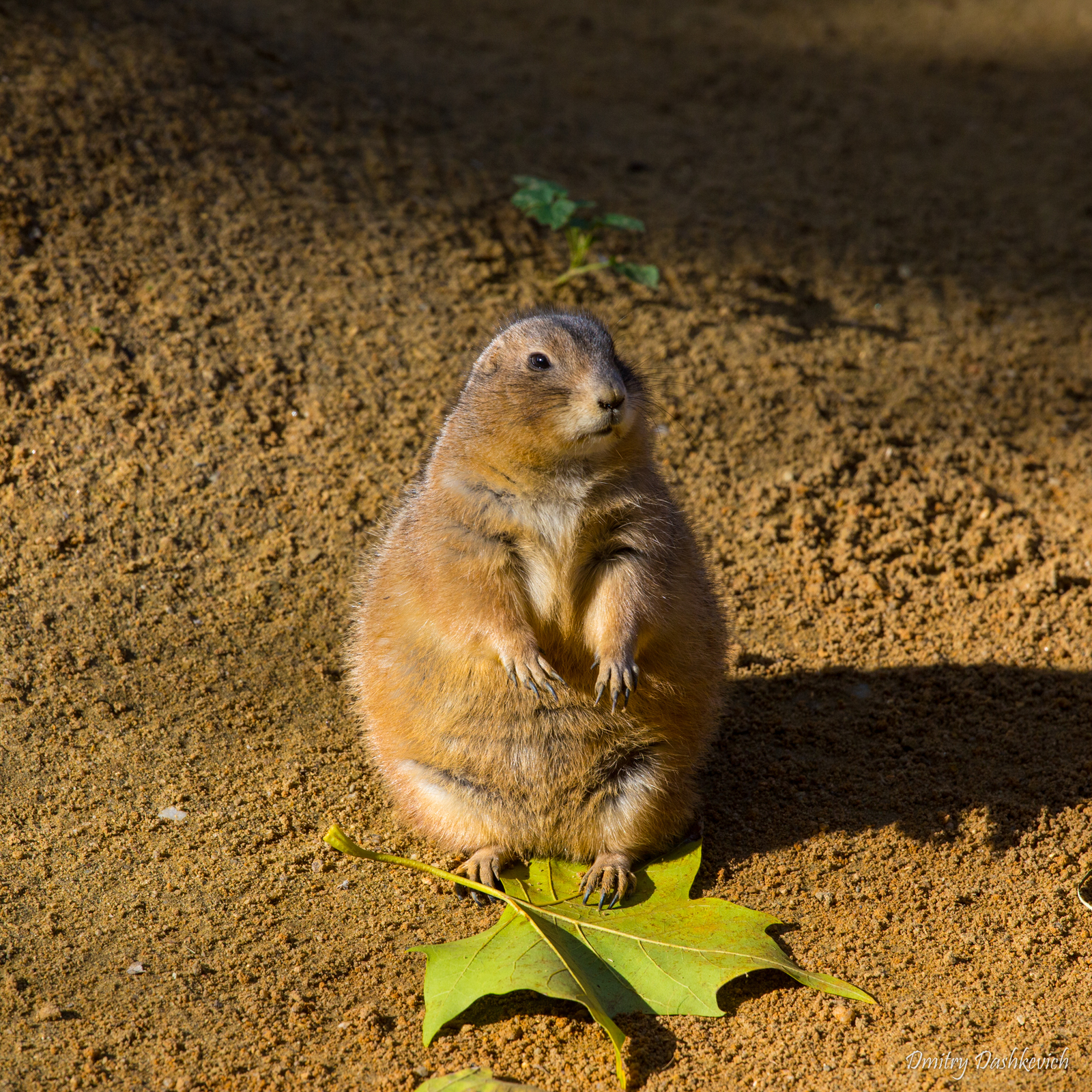 Prague Zoo - My, Zoo, Prague Zoo, Longpost