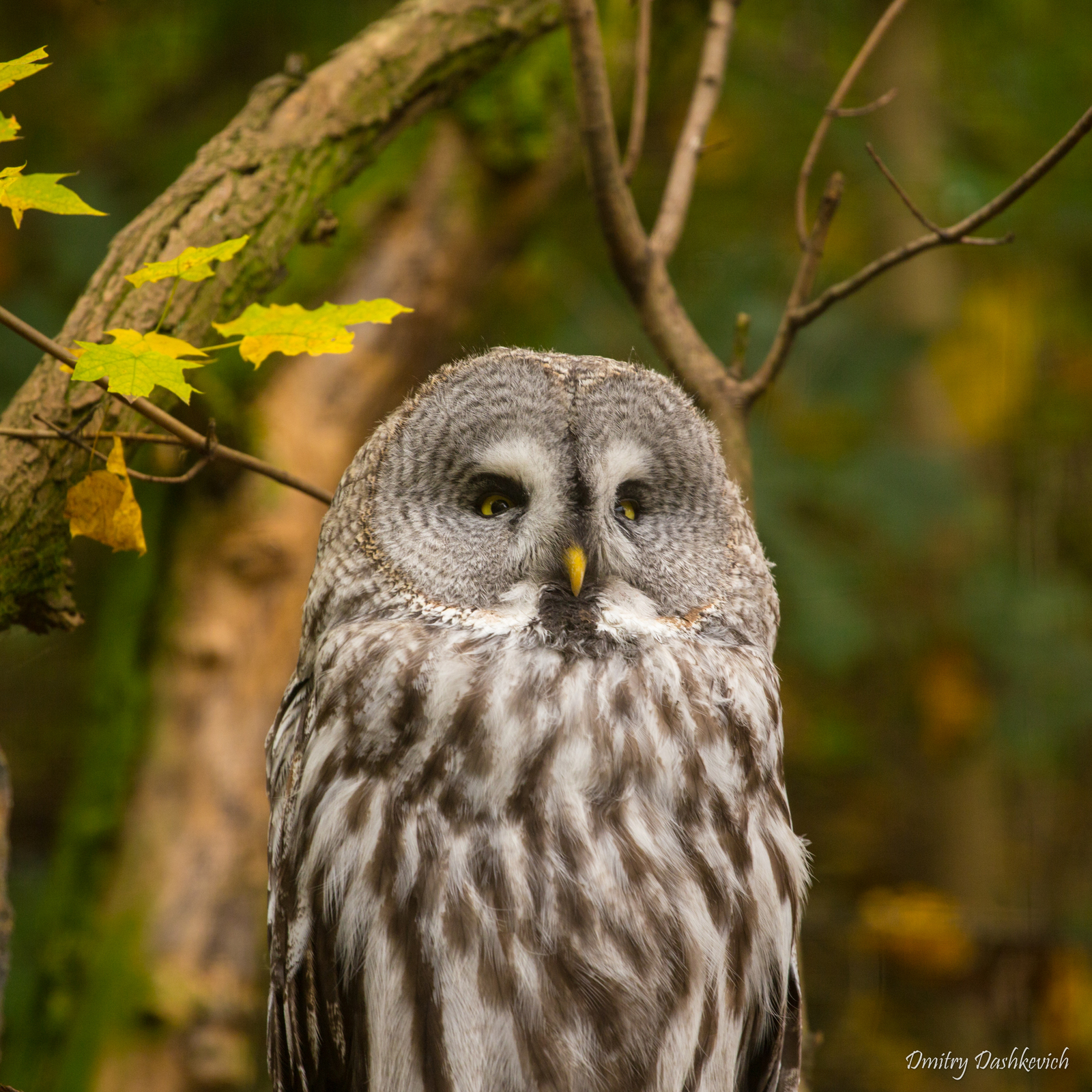 Prague Zoo - My, Zoo, Prague Zoo, Longpost