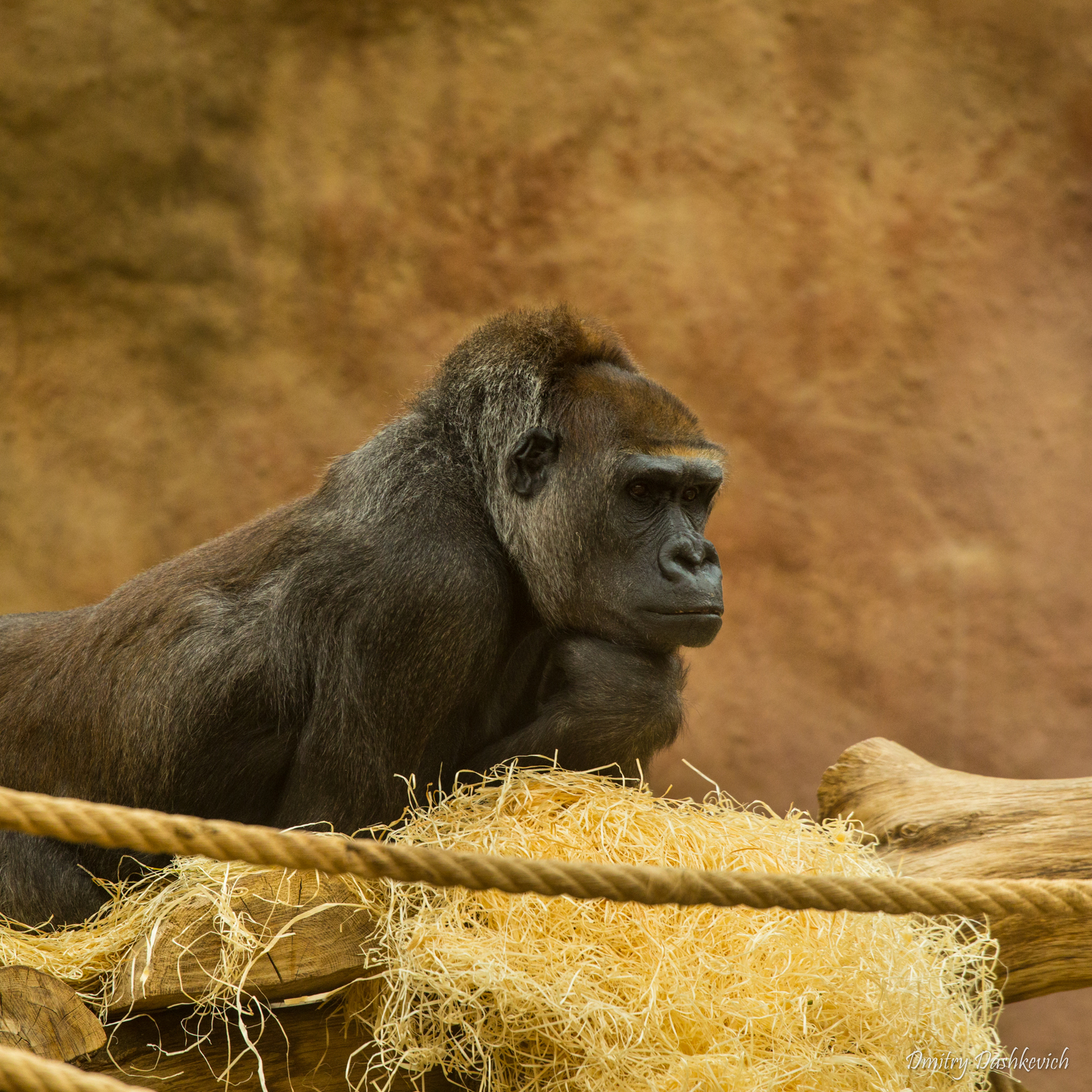 Prague Zoo - My, Zoo, Prague Zoo, Longpost