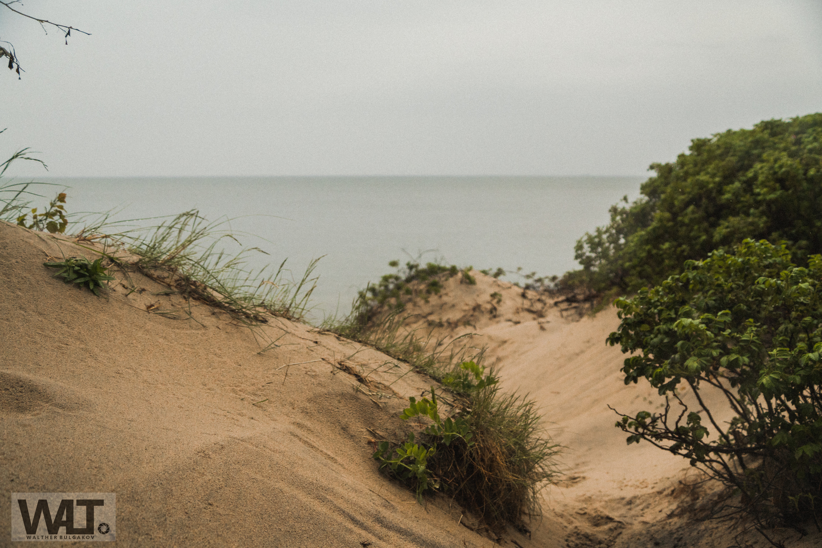 Path to the sea - My, Sea, Pionersk, Kaliningrad region, Forest, Photographer, Baltic Sea, Longpost