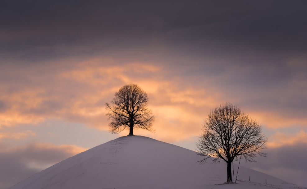 Angles. - The photo, Tree, moon, Nature, beauty, Longpost