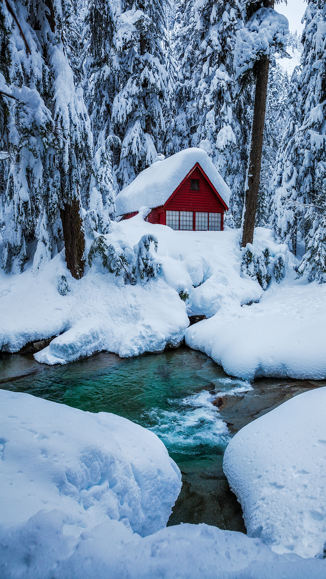 Winter beauty - Winter, , beauty of nature, Longpost