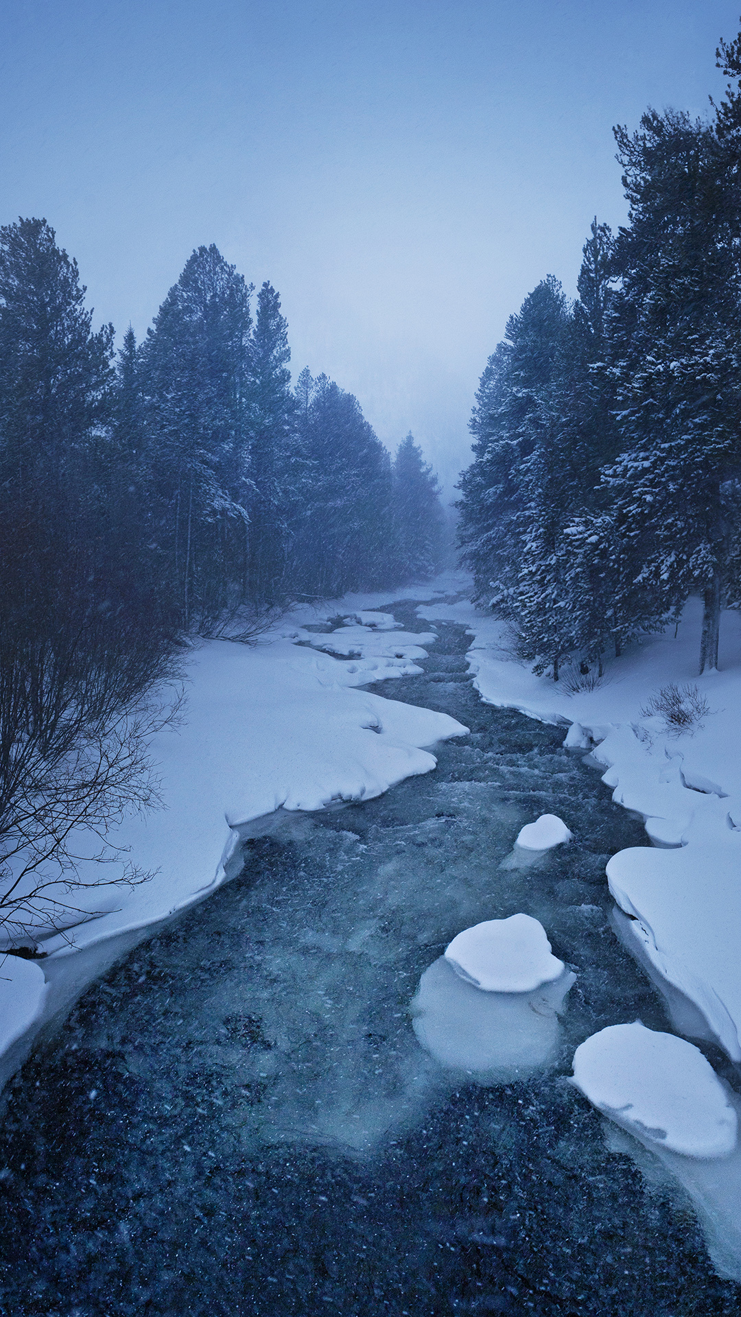 Winter beauty - Winter, , beauty of nature, Longpost