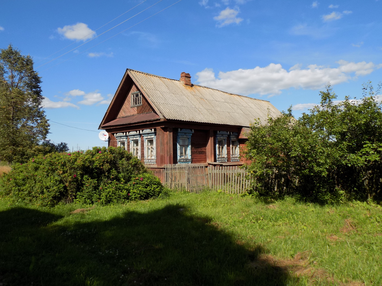 A bit of summer vibe... - My, Summer, Mood, The photo, Nature, Village, Longpost