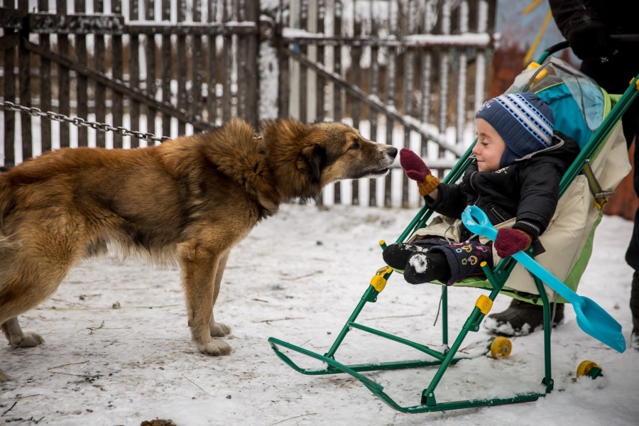 Crystal Boy: The story of 6-year-old Syoma from Siberia, due to a rare disease, his bones break from any touch - Siberia, Novosibirsk region, NHS, Osteogenesis imperfecta, Longpost, Disease, Bones