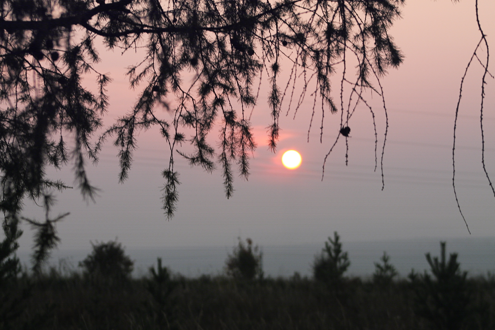 Sunset - My, Sunset, Siberia, Beginning photographer