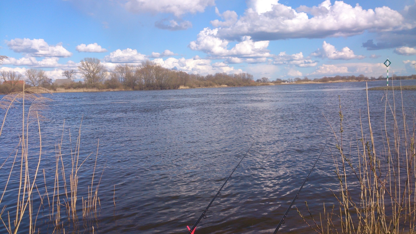 Doesn't peck - My, Doesn't peck, Fishing rod, Donka, River, Feeder