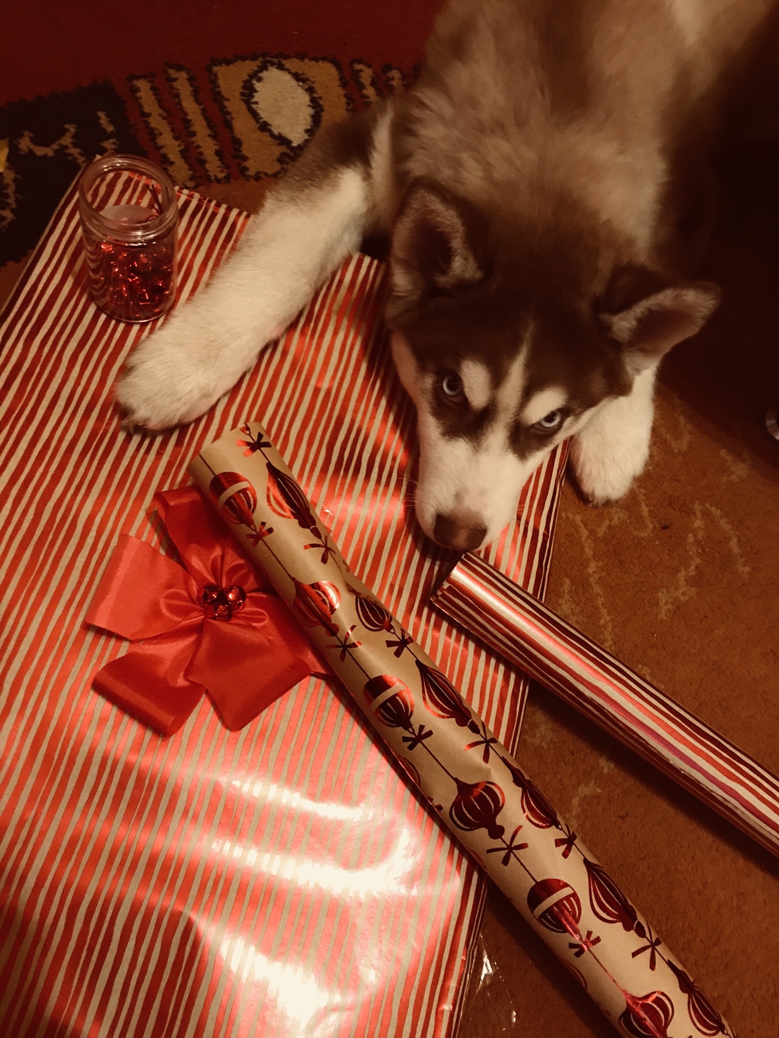 Packer #1 - My, Symbol of the year, New Year, Presents, Dog, Husky