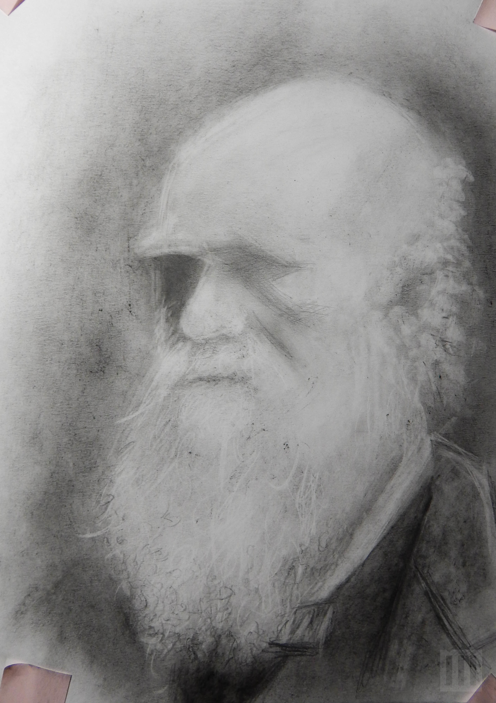 Чарльз Дарвин портрет в музее