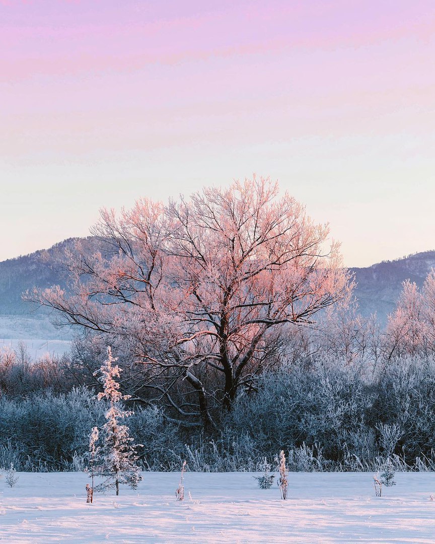 The amazing nature of the Altai Territory! - Altai, Mountain Altai, Altai Mountains, Winter, Nature, Longpost, Altai Republic