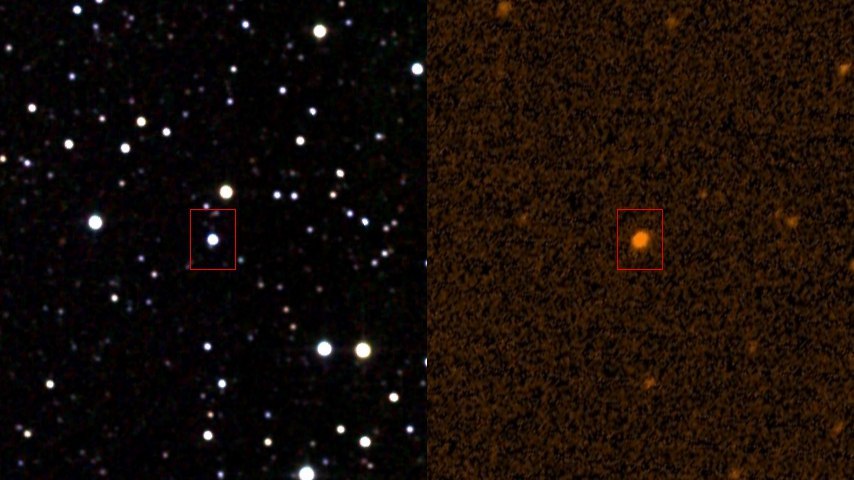 Found the reason for fluctuations in the brightness of the Star Tabby - Space, Tabby Star, Stars, Astronomy, Longpost, Star