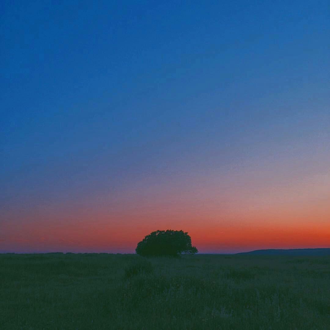 Лето. | Пикабу