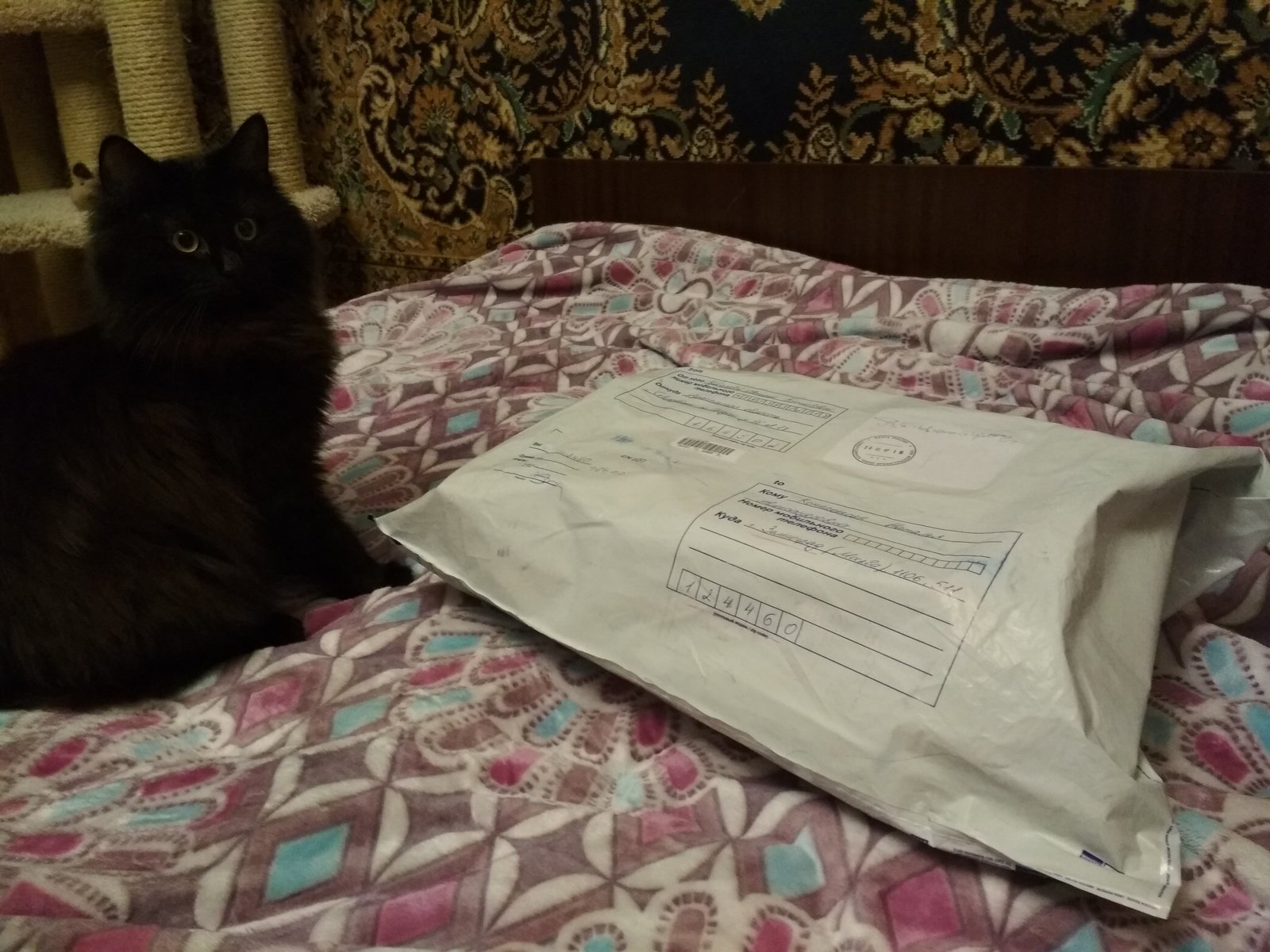 My Santa from Severodvinsk - My, Gift exchange, Secret Santa, Longpost