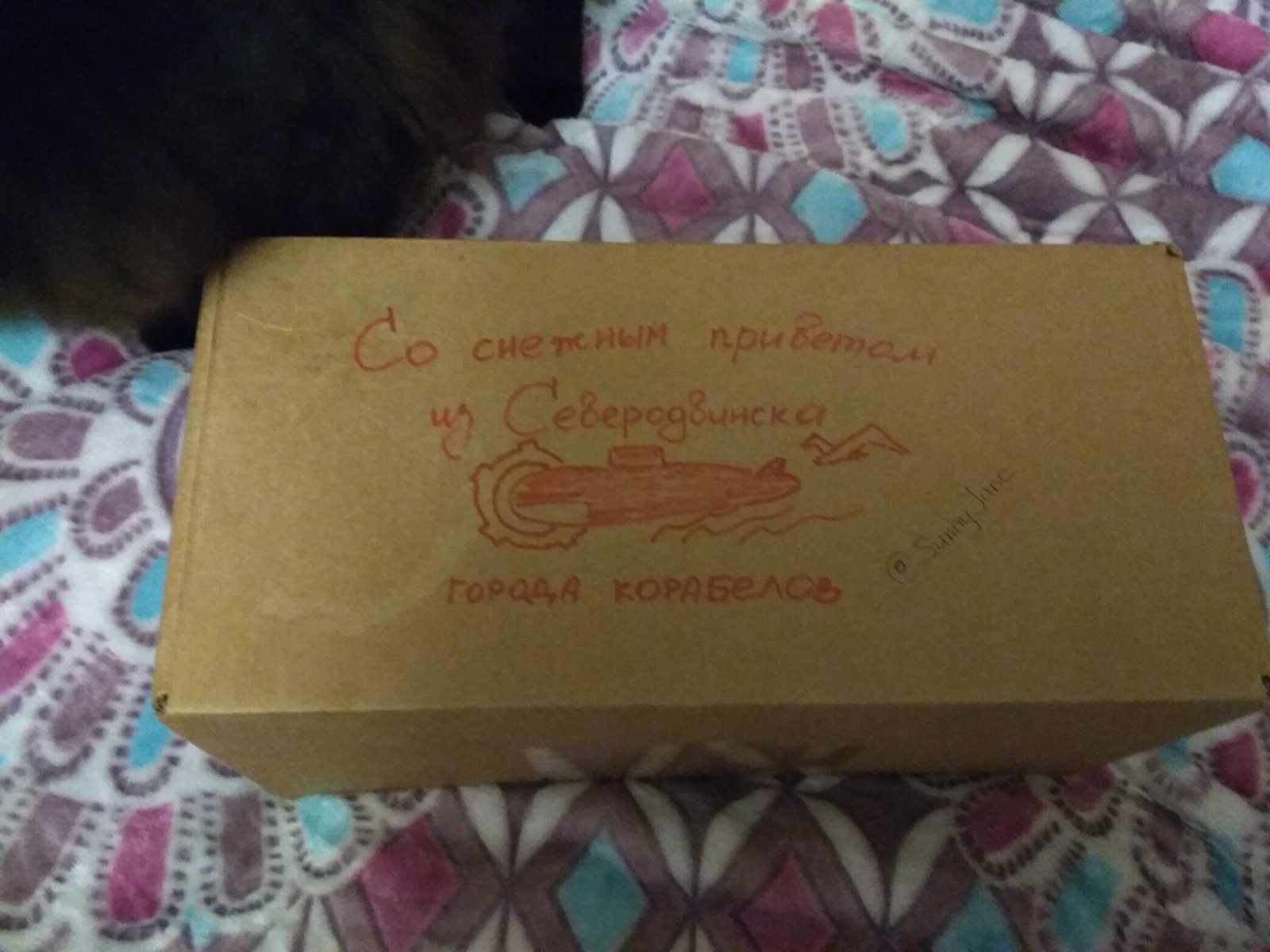 My Santa from Severodvinsk - My, Gift exchange, Secret Santa, Longpost