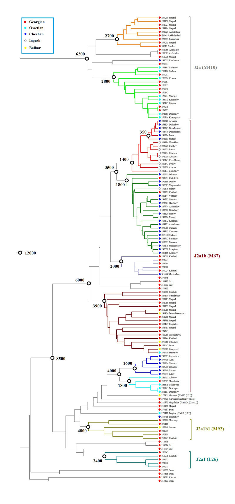 Family-clan structure of Karachais and its correlation with the results of the study of the DNA Y-chromosome. Part 1: General introduction. - DNA, Karachays, Balkars, Alans, Scythians, Story, Genetics, Origin, Longpost