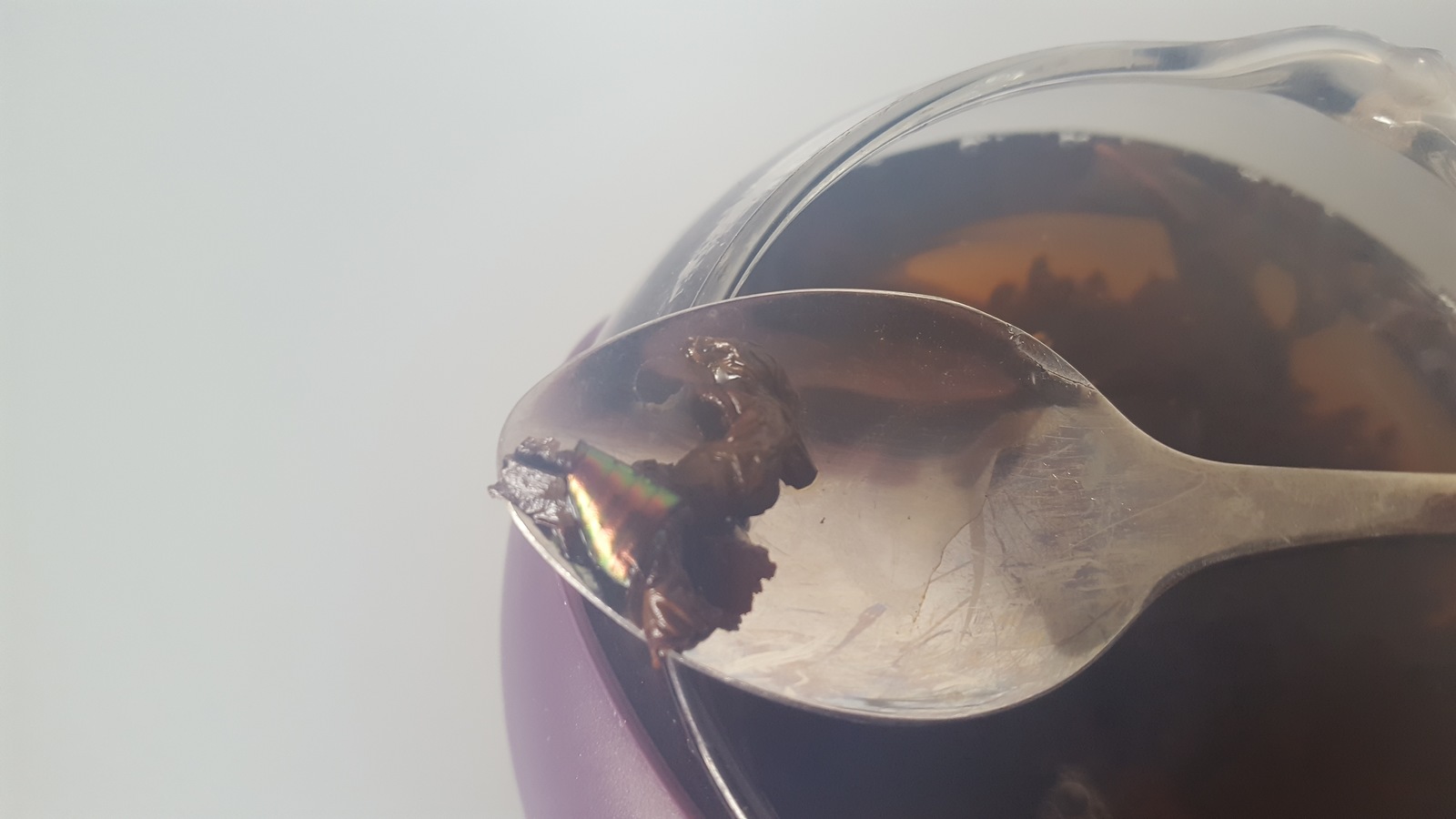 Chafer - My, , Жуки, Tea, Life stories, Find, Abomination, Longpost