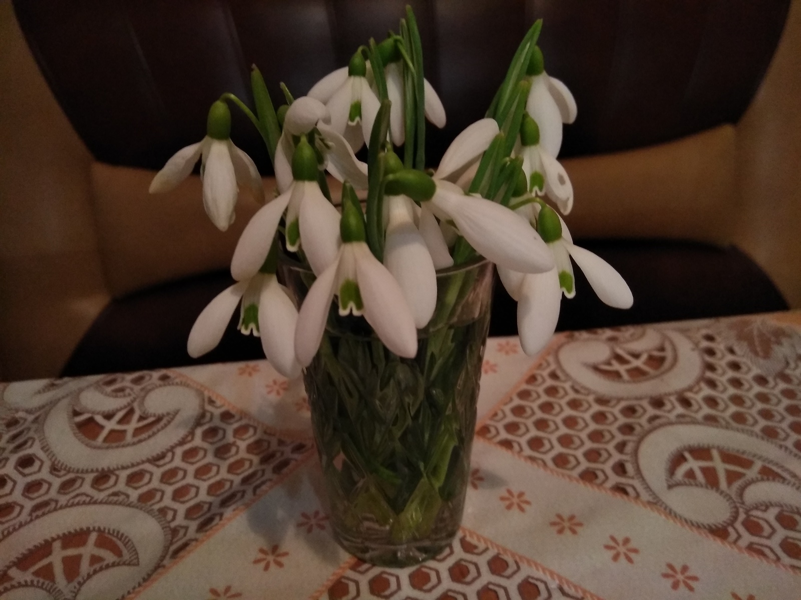 Merry Christmas Pikabu! - My, Snowdrops, Christmas, Sevastopol, Snowdrops flowers