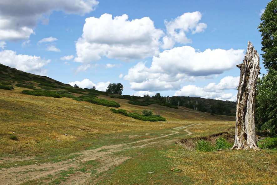 The delights of life in the wilderness-2-paranormal) - My, Bashkortostan, , Longpost