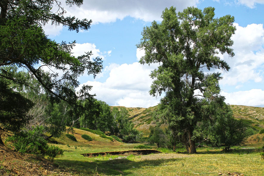 The delights of life in the wilderness-2-paranormal) - My, Bashkortostan, , Longpost