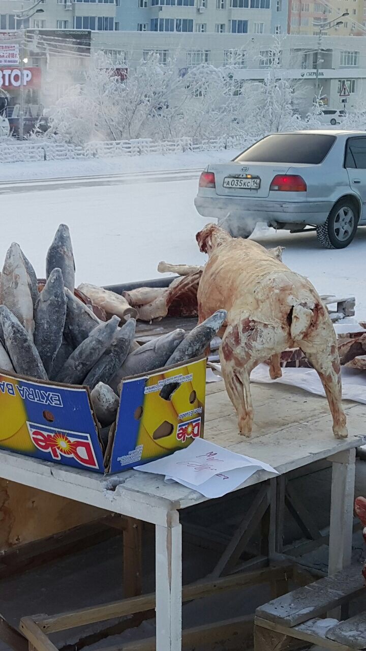 Угадайте какой породы пёсик - Моё, Мясо, Свинья, Якутск