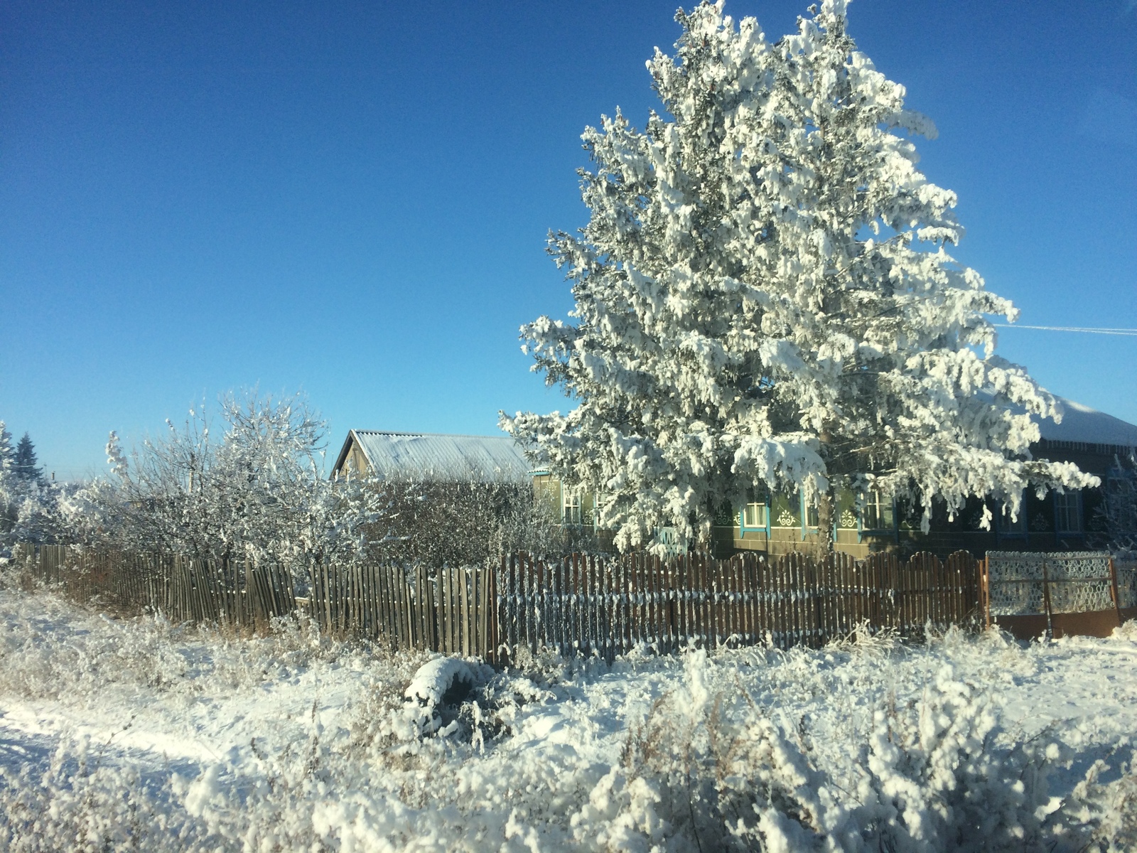 Zimushka - My, Winter, Altai region