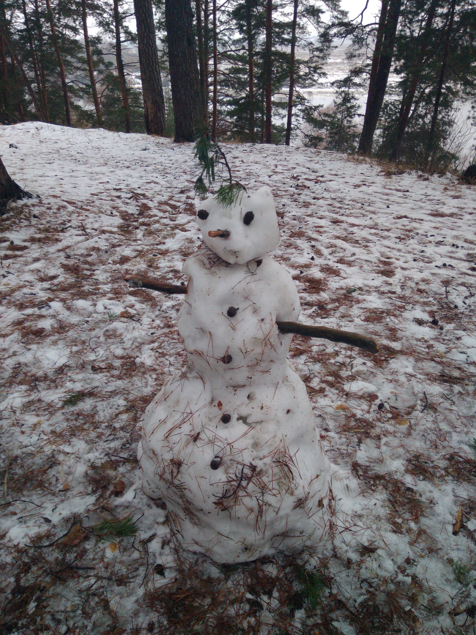 Snowmen are not the same now ... - My, Winter, Central Federal District, snowman, No snow, Longpost