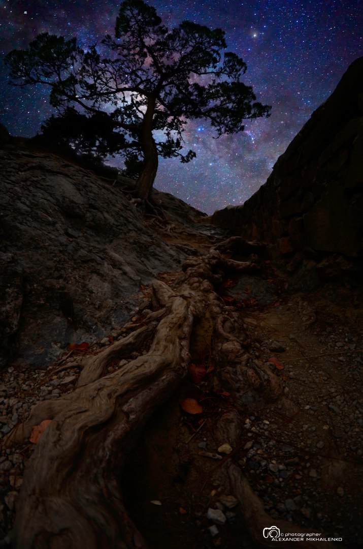 Root of the Milky Way in the New World Crimea - My, Overheard, New World, Crimea, Sea, Russia, The city of Sudak, Alexander Mikhailenko