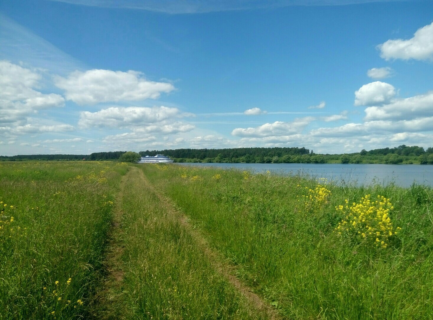 I will also share the beauty of my native land - My, Landscape, Dubna, Volga, Summer, The photo, Longpost, Volga river