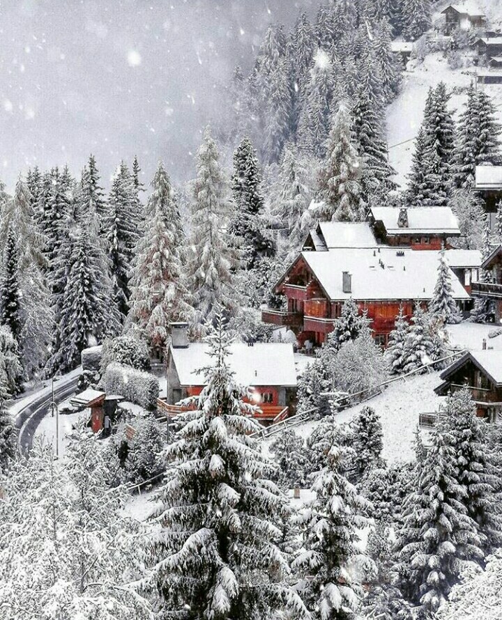 beauty - Winter, Snow, beauty