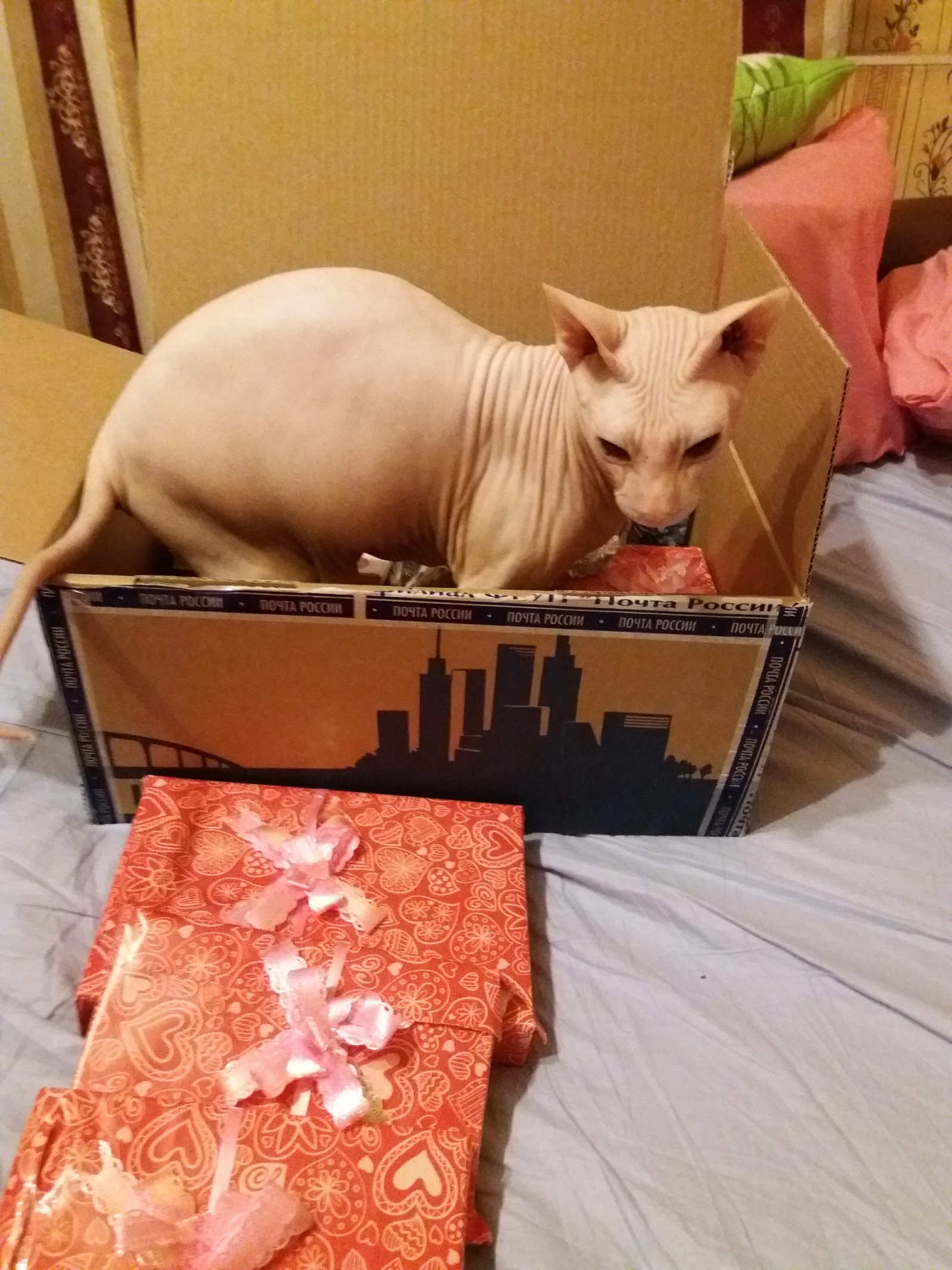 Gift exchange))) Today I received a gift from Santa from a distant and harsh Chelyabinsk) - My, Gift exchange, Secret Santa, Longpost