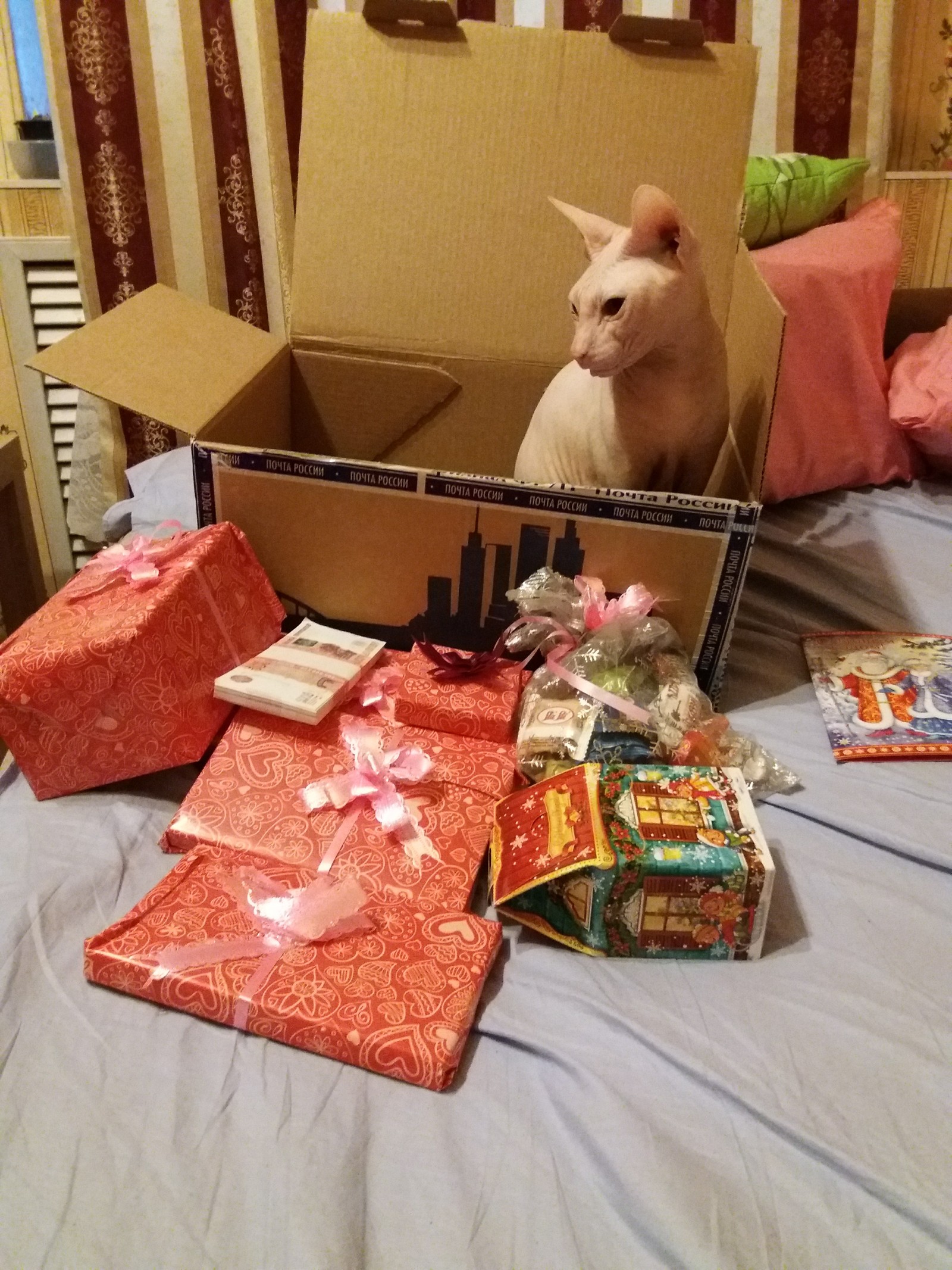 Gift exchange))) Today I received a gift from Santa from a distant and harsh Chelyabinsk) - My, Gift exchange, Secret Santa, Longpost