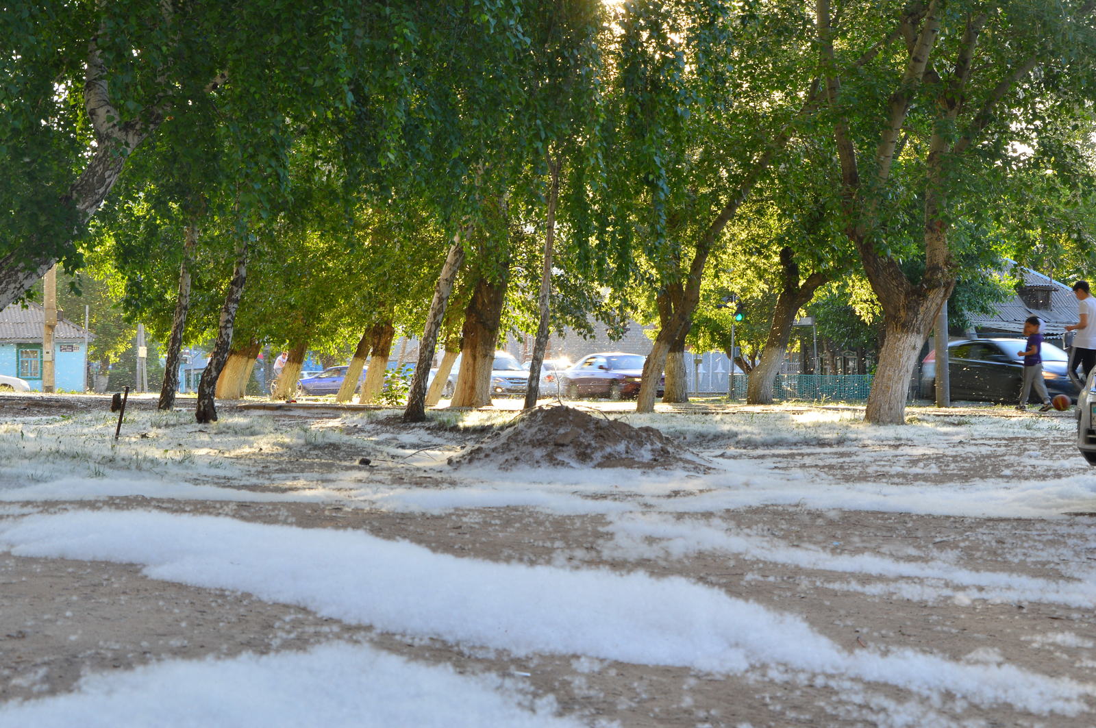 Pavlodar. - My, Pavlodar, Kazakhstan, Summer, Poplar fluff, Longpost