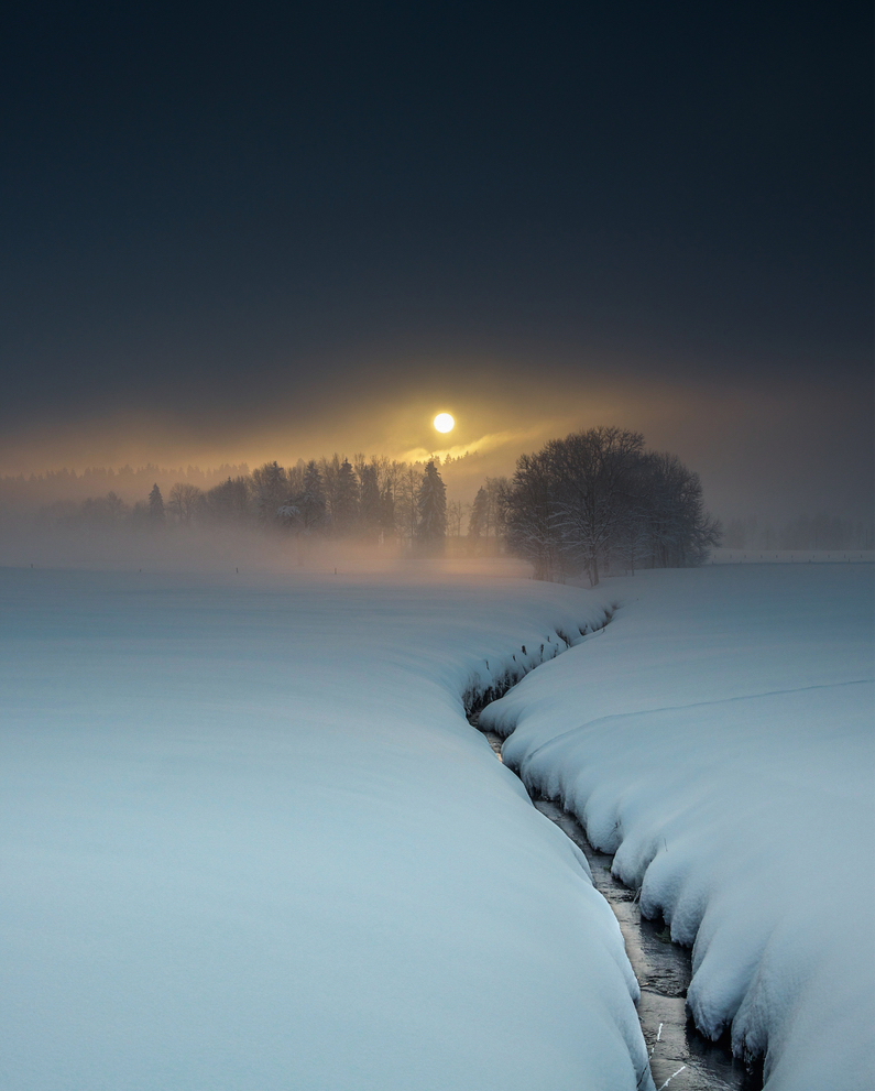 Pure nature. - Winter, The photo, beauty