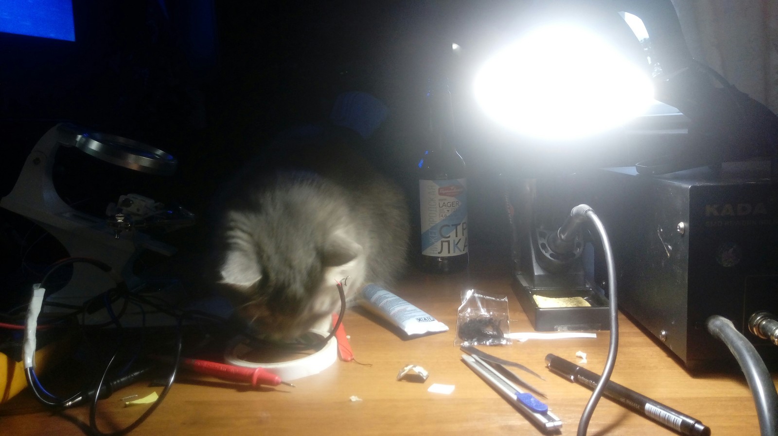 Slept bilyat - My, Cat with lamp, Soldering iron, Soldering Station, Third hand, Insomnia, Weekend, Longpost