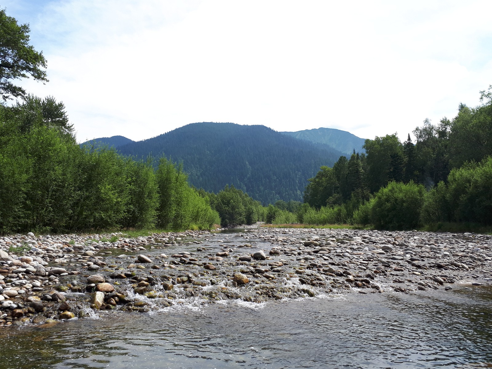 Siberian summer post - My, Summer, Siberia, The nature of Russia, Longpost