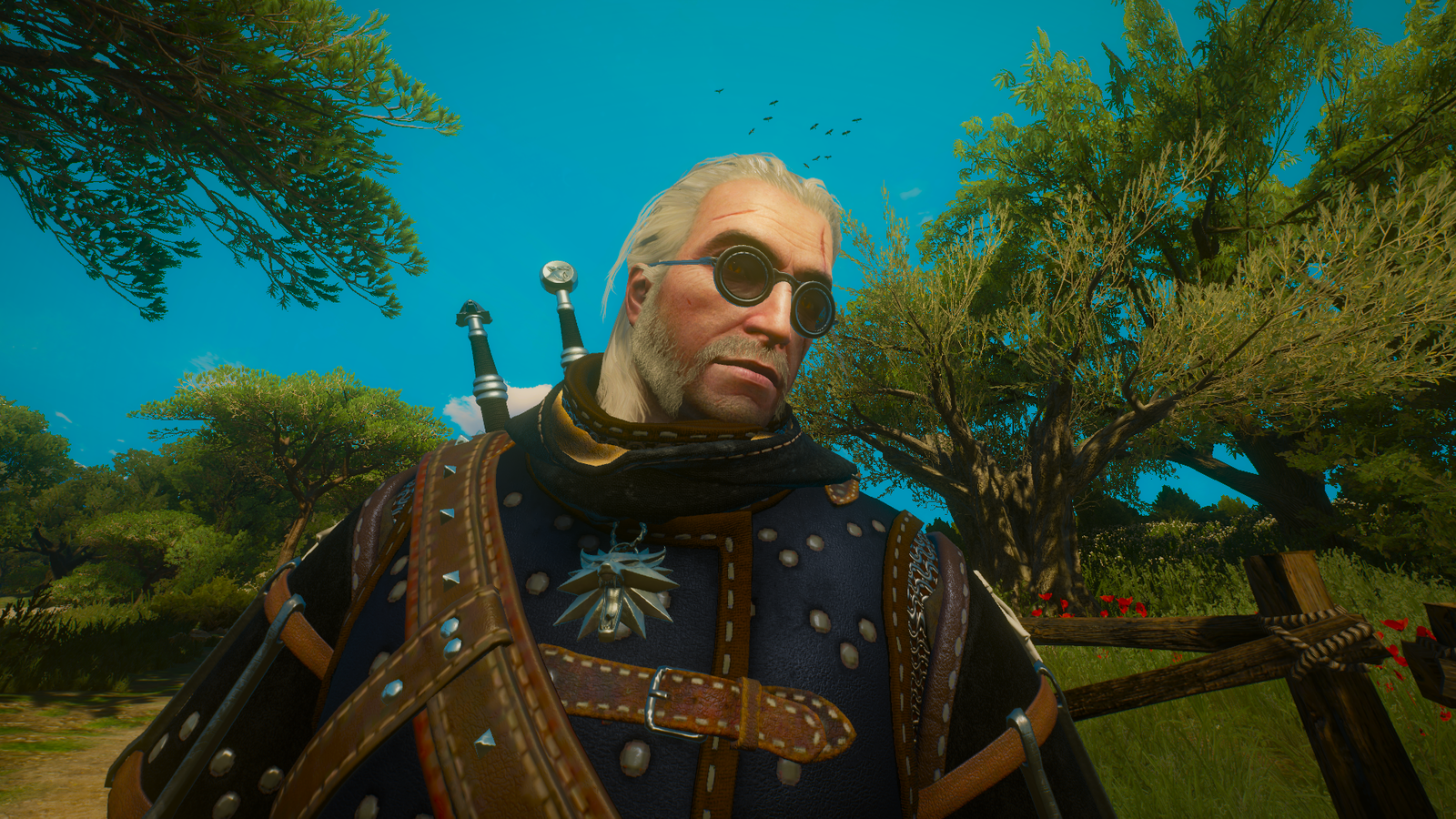 Geralt of Rivia - My, Geralt of Rivia, The Witcher 3: Wild Hunt, Toussaint, Cat School