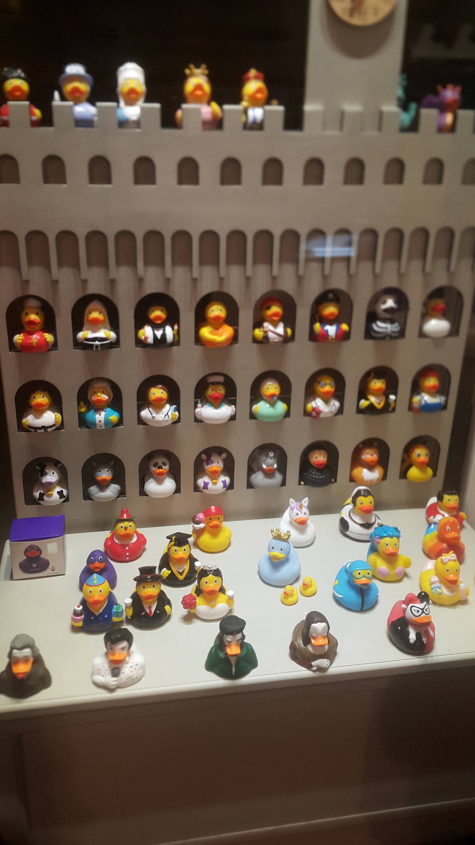 An interesting store that only sells rubber ducks. Italy)) - Peace, Travels, Italy, Funny, Humor, Score, Longpost