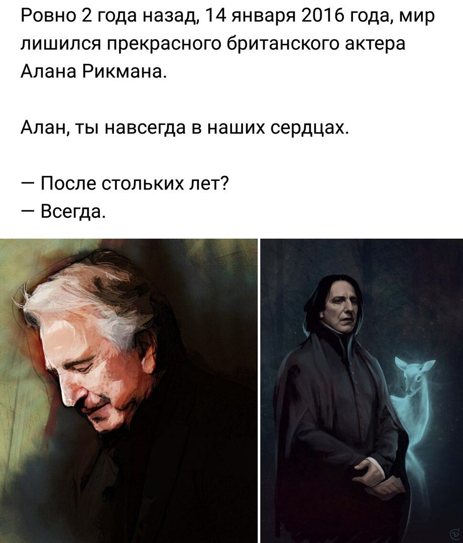 Bright memory - Alan Rickman, Harry Potter, Severus Snape, 