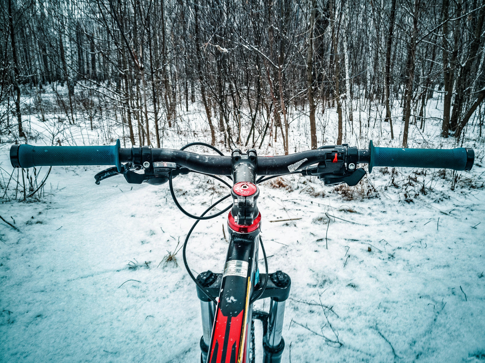 Мои фото с велопрогулок 12.01.2018 - Моё, Велосипед, Город Энгельс, Formatbikes, Зима, Мобильная фотография, Honor 6x, Зашакалено, Длиннопост