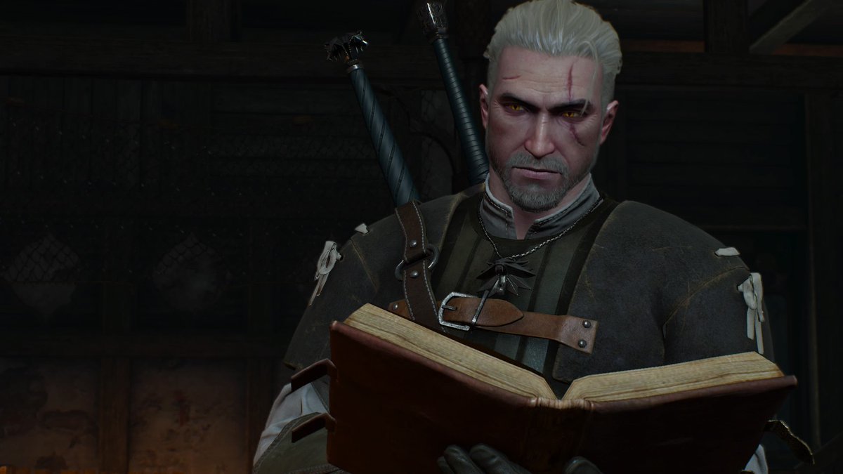 How to become a Witcher in the modern world - My, Witcher, , The Witcher 3: Wild Hunt, The Witcher 3: Wild Hunt, Longpost