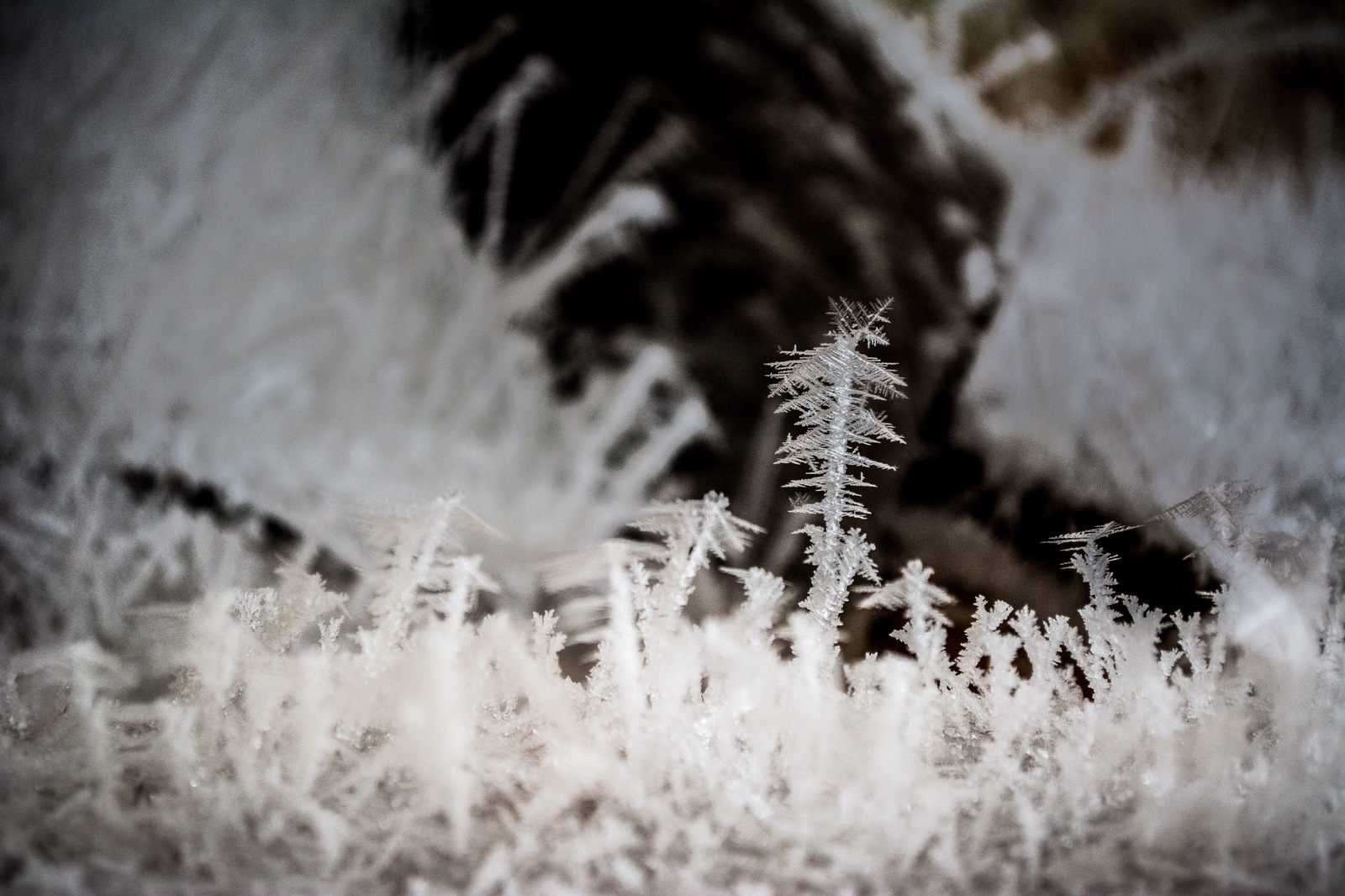 Frosts - freezing, Yekaterinburg, Abandoned, Longpost