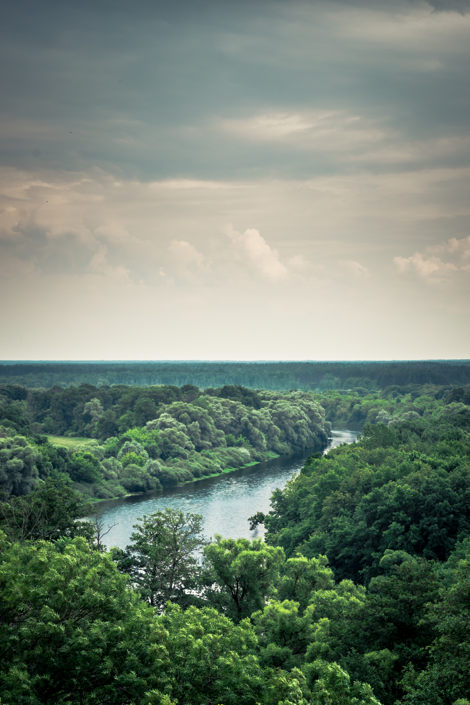 Sinuous Gums - My, The photo, Desna River, Bryansk region, Beginning photographer, , Longpost, Nikon