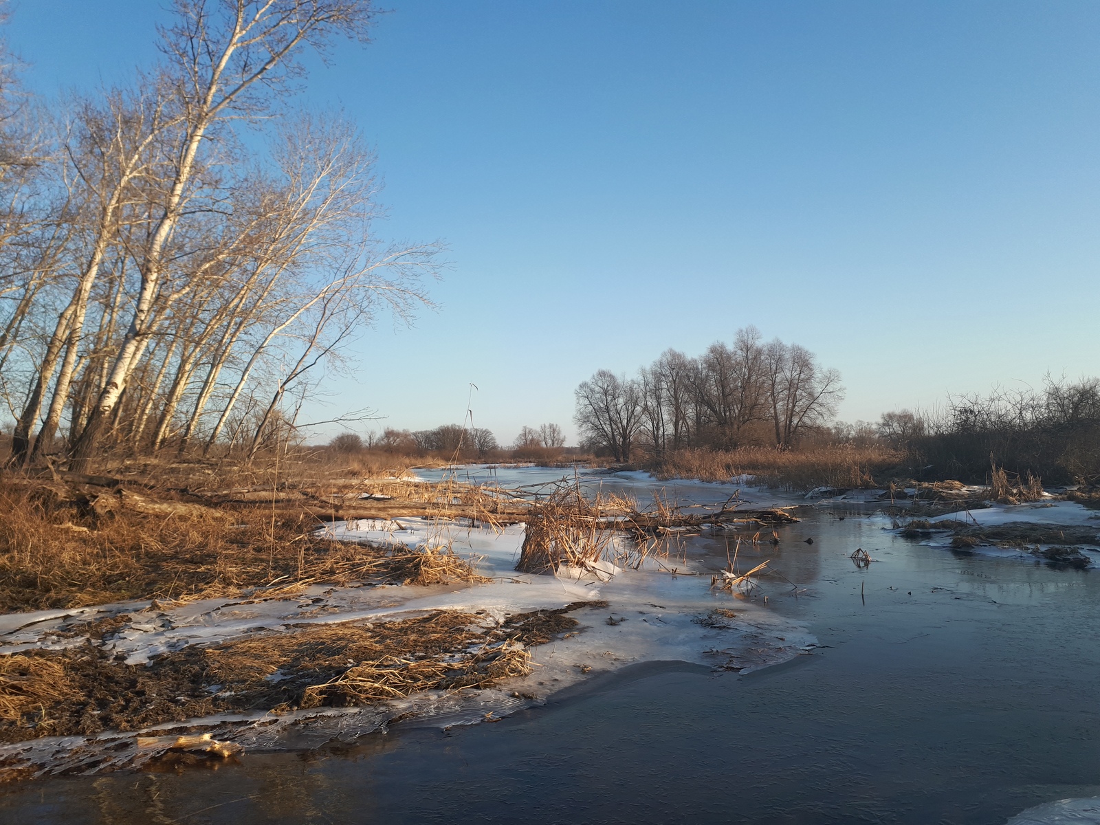 Features of New Year's fishing 2018 - My, Volga, Saratov, A fish, January, Longpost, Volga river, Fishing