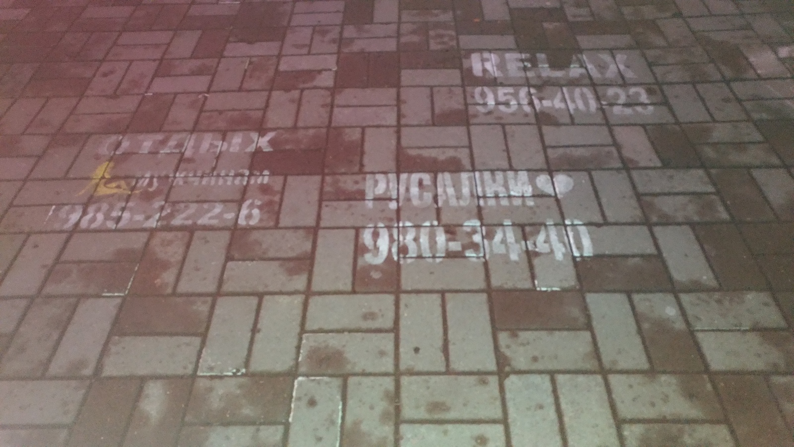 Inscriptions on the asphalt. Kyiv/St. Petersburg - My, Saint Petersburg, Kiev