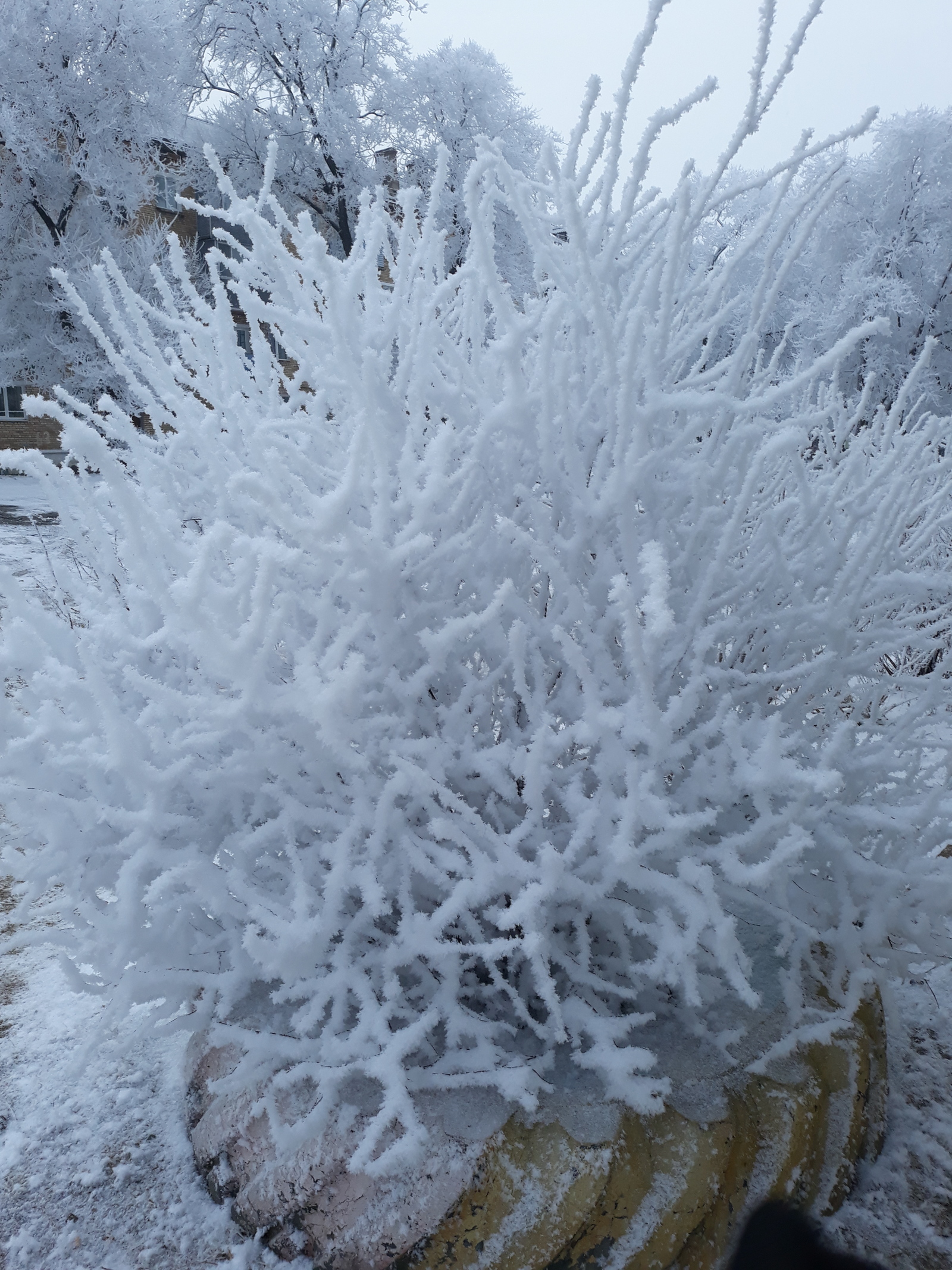 Winter - Winter, Primorsky Krai, Longpost