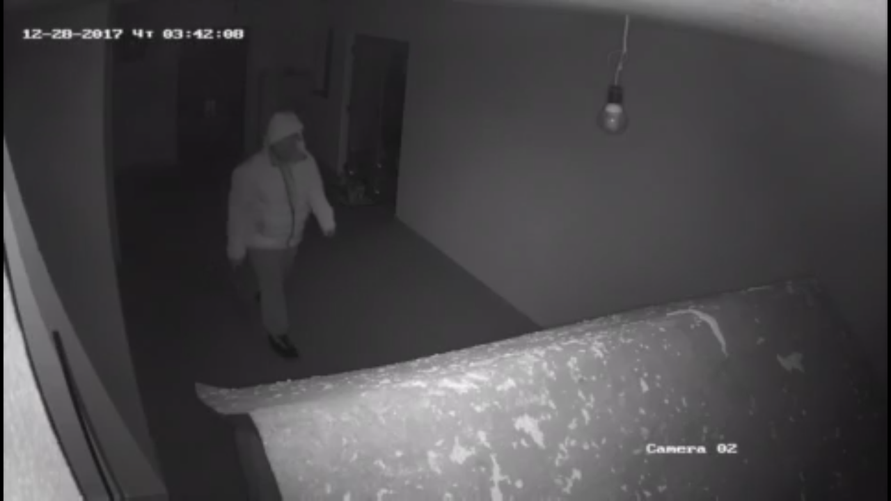 Please help me identify the thief - Burglarized, Thief