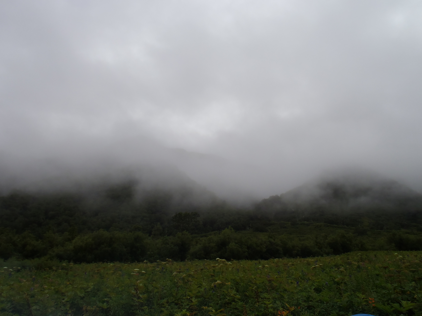 Our race (crawled) to the Bakening volcano. Day two - soaked in dampness, pain and hatred. - My, My, Kamchatka, Tourism, Sodomy, Longpost, , Volcano